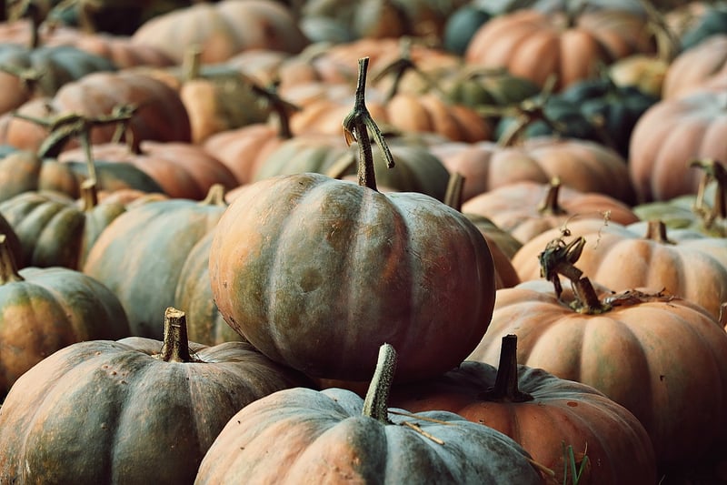Vegetable Bounty